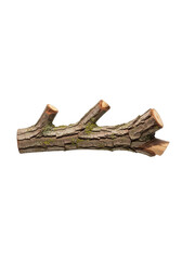 Fototapeta premium Dry broken tree branch with knots isolated