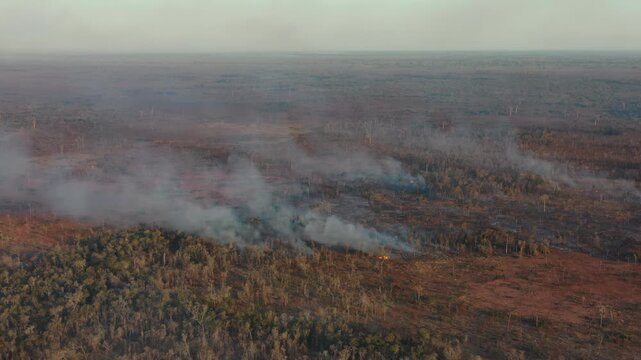 Panoramic view of multiple wildfires with massive columns of smoke, deforesting the Amazon rainforest.