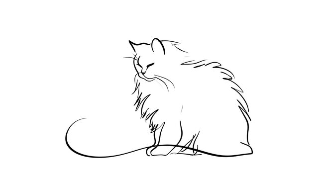 Fluffy cat illustration on white background.