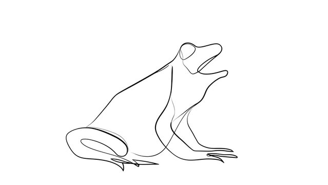 Line art frog illustration on white background.