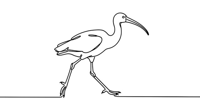 Minimalist ibis line drawing on white background.