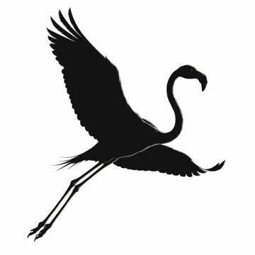 Black flamingo silhouette in flight, elegant tropical bird vector illustration, minimalist flying flamingo icon for logo design and summer branding