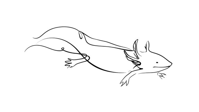 Line drawing of aardvark on white background.