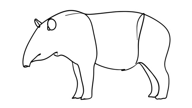 Simple line drawing of a tapir on white background.