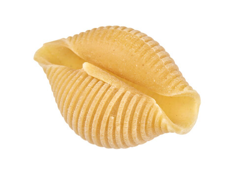 Single conchiglioni pasta shell isolated on transparent background close up studio shot displaying realistic ribbed texture and golden beige color for culinary advertisement photography.