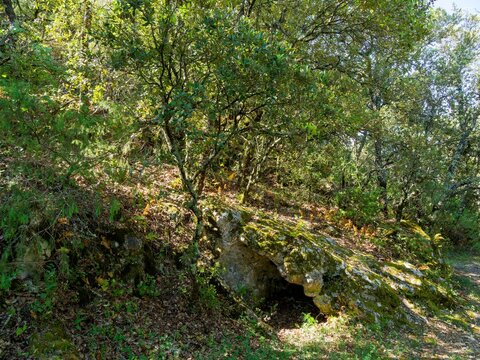  A stone-paved path through a shady, mossy, and verdant undergrowth descends from the old village of Fox-Amphoux, leading to the Notre-Dame-de-Bon-Secours chapel