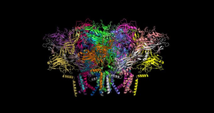 Andes virus (Hantavirus)  glycoprotein dimer of tetramers in conformation I, 9P3X cryo-EM 3D structure 4K spinning