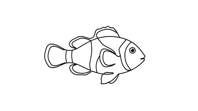 Clownfish line art illustration white background.
