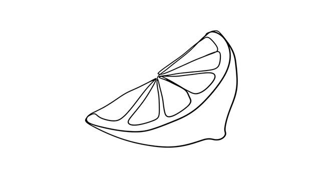 Fresh lemon slice illustration on white background.