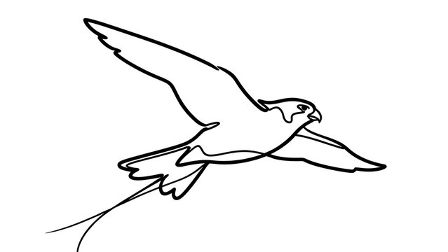 Minimalist bird drawing on white background.