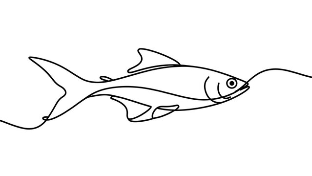 Simple line art fish drawing white background.