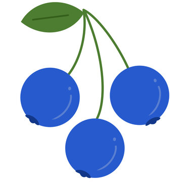 Flat Blueberry