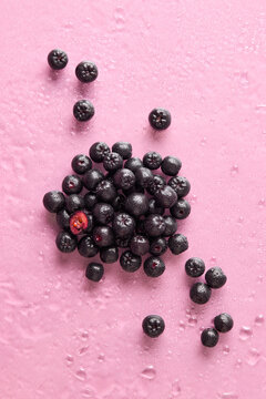 Fresh aronia berries with water droplets on a pink background. Healthy summer fruit concept.