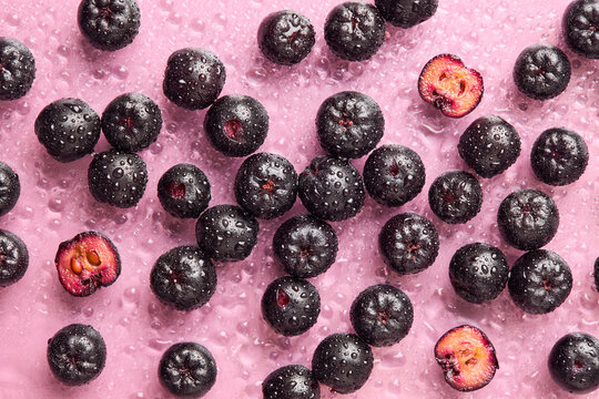 Fresh aronia berries with water droplets on a pink background. Healthy summer fruit concept.