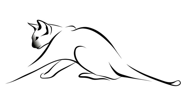 Elegant cat line drawing on white background.