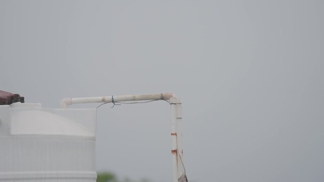 Wide shot video of a red vented bulbul bird perched on a rooftop white water pipe taking off and flying away