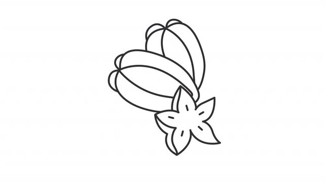 Tropical exotic fruit line animation. Carambola fruit animated icon. Five point star slice. Small inner seeds. Healthy eating. Outline element on white background. HD video with alpha channel