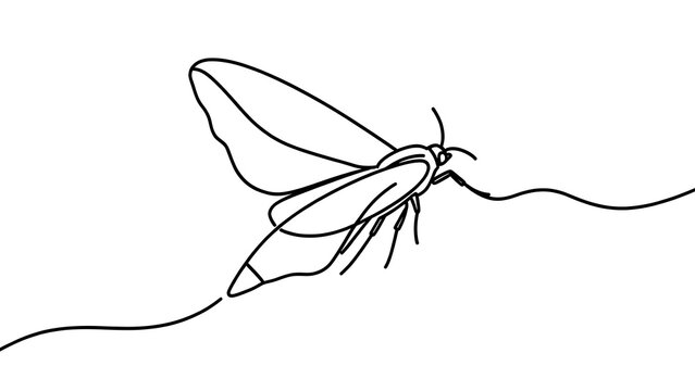 Minimalist line art butterfly on white background.