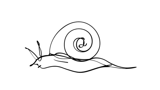 Simple snail line drawing on white background.