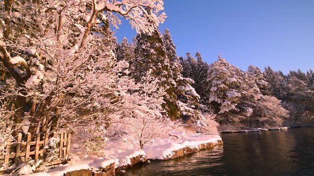 田沢湖と七種木（なないろき）の朝