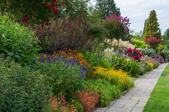 Stunning, colourful mixed flower border at Wisley garden, Surrey UK. The extensive flower beds are planted mainly wtih perennial plants.