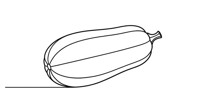 Simple zucchini line drawing on white background.