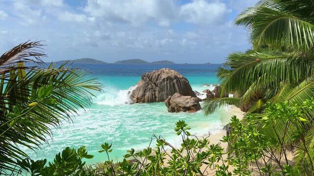Palm trees over a turquoise strip of water, Anse Patates beach, La Digue island, Seychelles