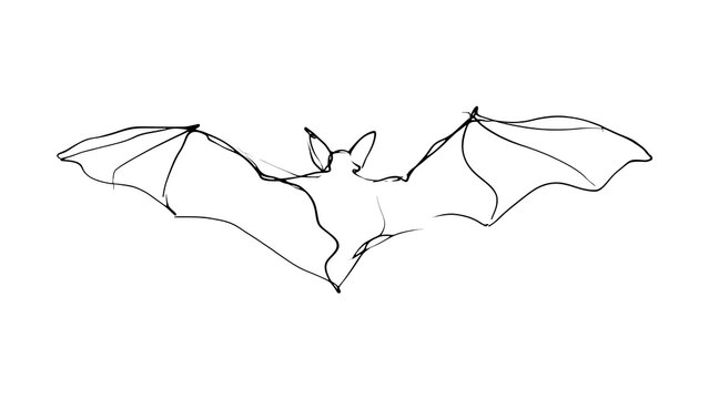 Minimalist bat line drawing white background.