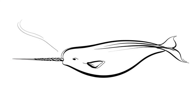 Minimalist narwhal line art white background.