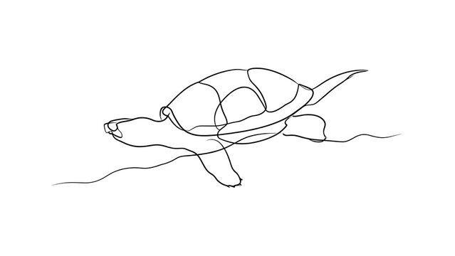 Minimalist turtle line drawing white background.