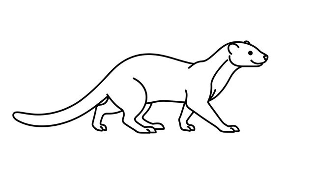 Black and white weasel illustration white background.