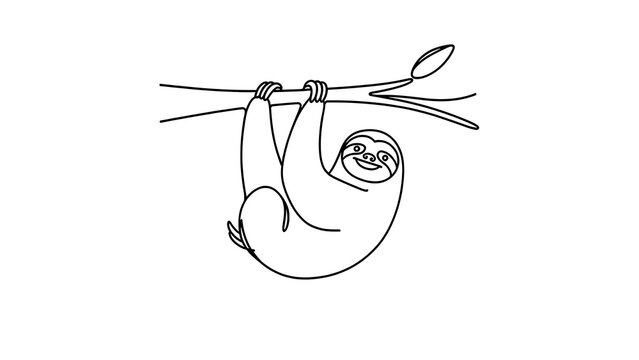 Cute sloth hanging from branch white background.