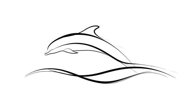 Elegant dolphin line art illustration white background.