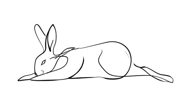 Minimalist rabbit line drawing white background.