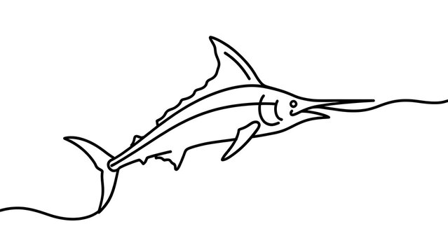 Swordfish line art illustration white background.