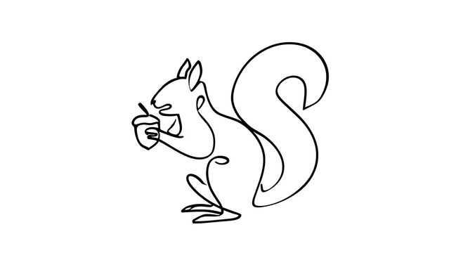 Cute squirrel eating nut white background.