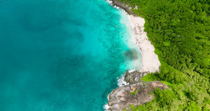White sand beach with turquoise waters bordered by lush tropical forest. Seychelles, Mahe. Anse Capucins.
