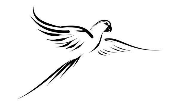 Elegant parrot silhouette illustration white background.