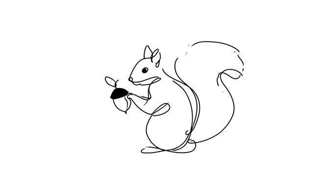 Cute squirrel holding acorn white background.