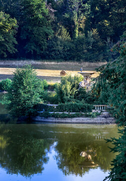Heron perched on old 300 year old overgrown fountain with pond and meadow landscape