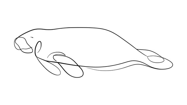 Minimalist manatee line drawing white background.