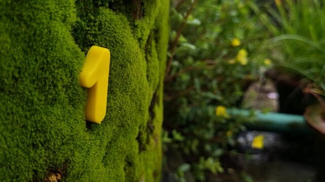 Yellow number one symbol resting on textured green mossy wall moss nature texture plant background