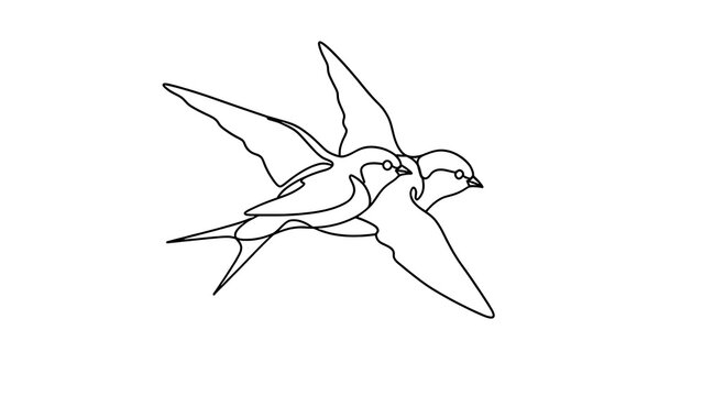 Flying bird line art illustration white background.