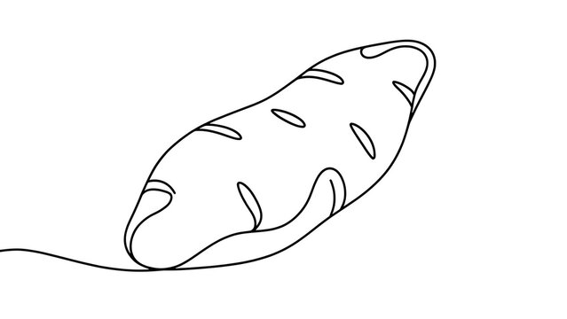 Simple sweet potato illustration on white background.