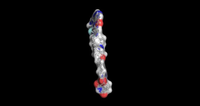 KT-474, targeted PROTAC IRAK4 degrader for autoimmune disease treatment, catalytic molecule eliminating inflammatory enzymes to modulate immune responses, 3D molecule spinning, 4K