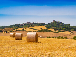 Fototapeta premium Italia, Toscana, Siena, la campagna senese in estate.