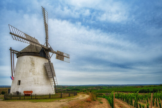 Windm&uuml;hle auf einem Weinberg 688424