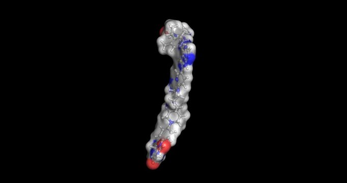 Catadegbrutinib, targeted BTK PROTAC protein degrader for resistant blood cancer treatment, 3D molecule 4K spinning