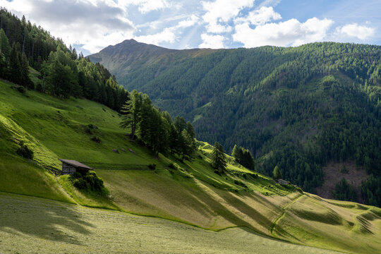 Bergwiesen bei Kals am Gro&szlig;glockner in Osttirol 2