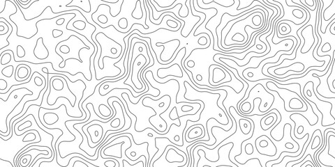 Fototapeta premium Abstract modern topographic line art background, wavy black outline lines in a clean layout, for wallpaper, poster and branding.
